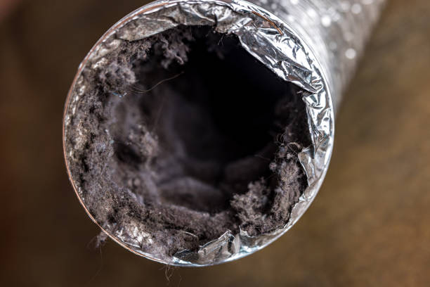 Best Affordable Air Duct Cleaning  in Crete, IL