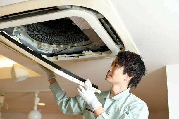 Best Air Vent Cleaning Services  in Crete, IL