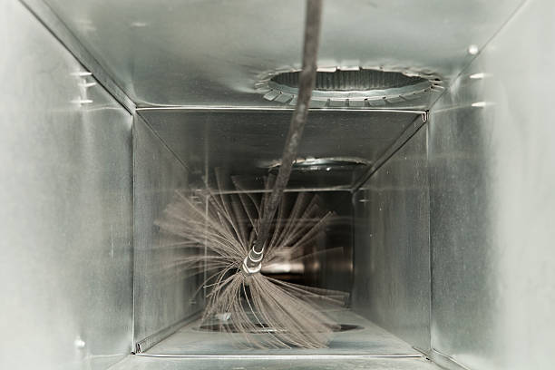 Best Air Duct Sanitizing Services  in Crete, IL