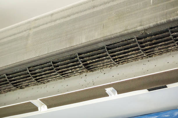 Best Affordable Duct Cleaning Services  in Crete, IL